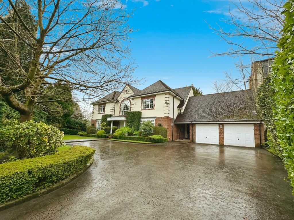 ezgif.com-webp-to-jpg-converter-10-1