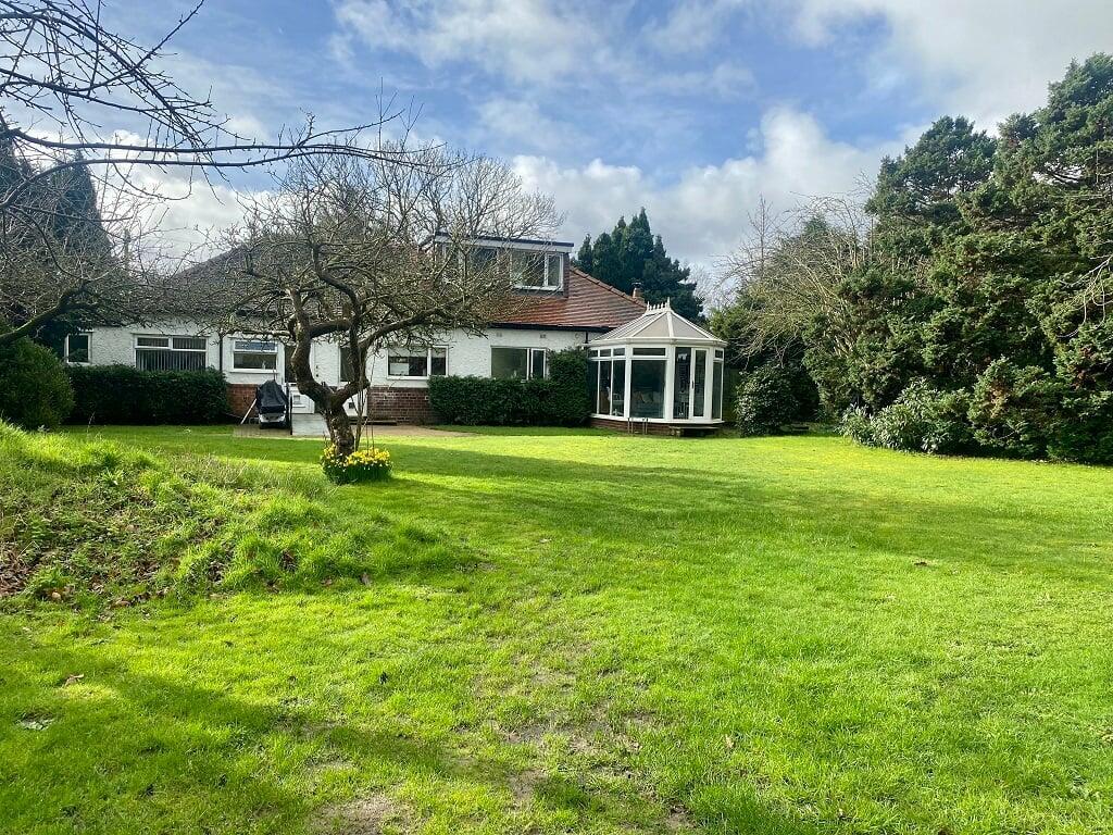 ezgif.com-webp-to-jpg-converter-20-5