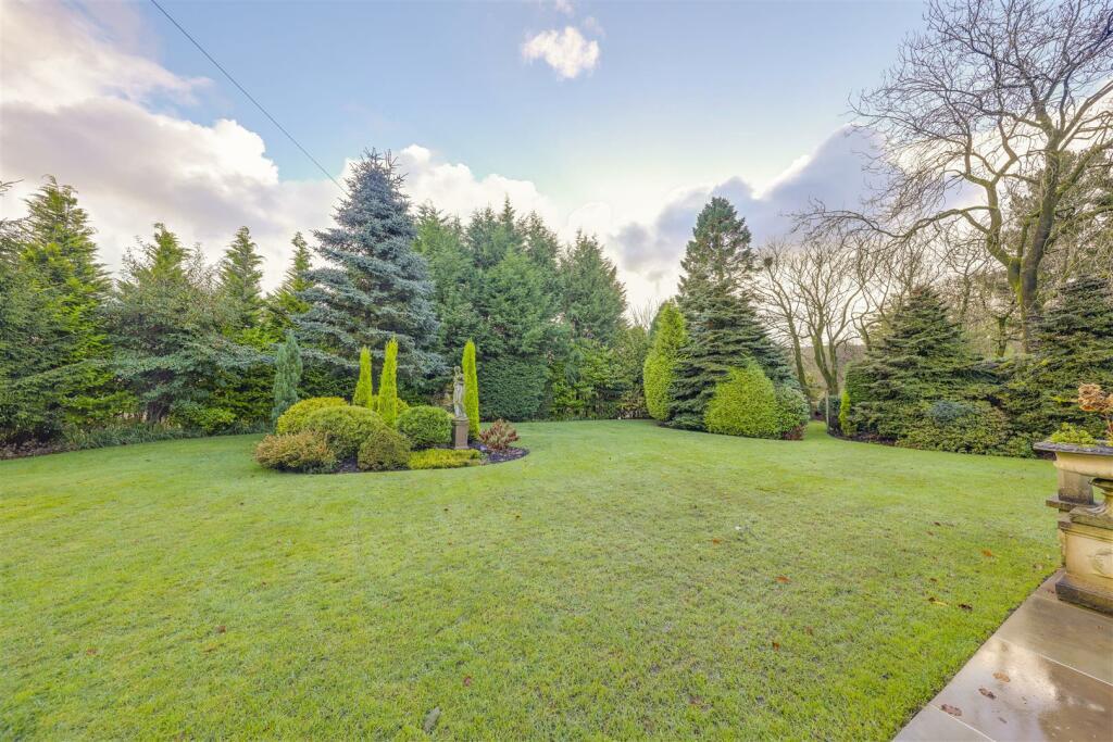 ezgif.com-webp-to-jpg-converter-2025-01-15T193350.494