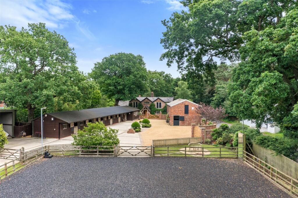 ezgif.com-webp-to-jpg-converter-5-4